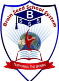Brain Seed School System